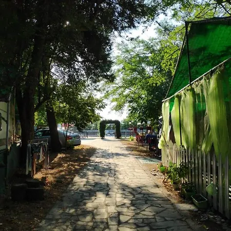 Campsite Mitikas And Plaka Litochorou