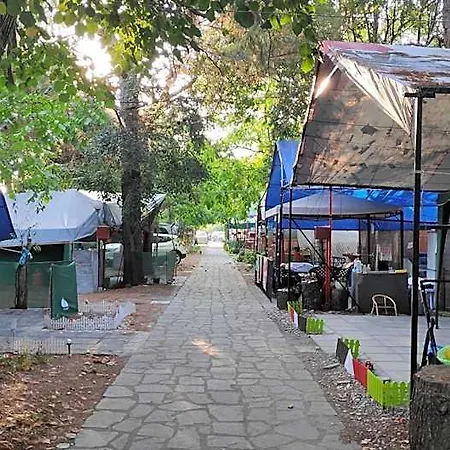 Mitikas And