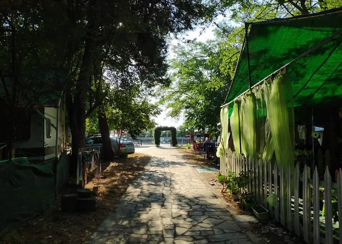 Camping Mitikas And Plaka Litochorou